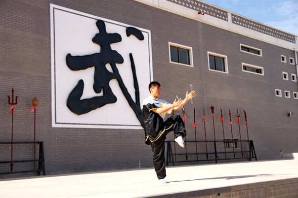 《崆峒武术》-甘肃平凉崆峒古镇+徐振华+13993350918 (9).JPG