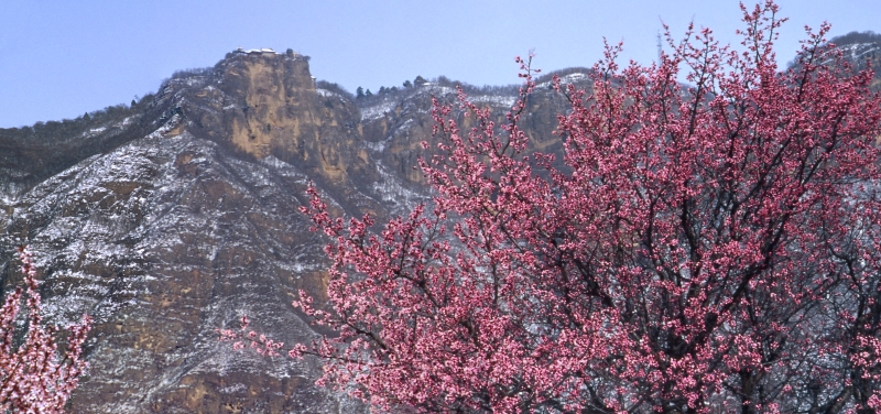 三月桃花映崆峒--孙自强摄影427.jpg