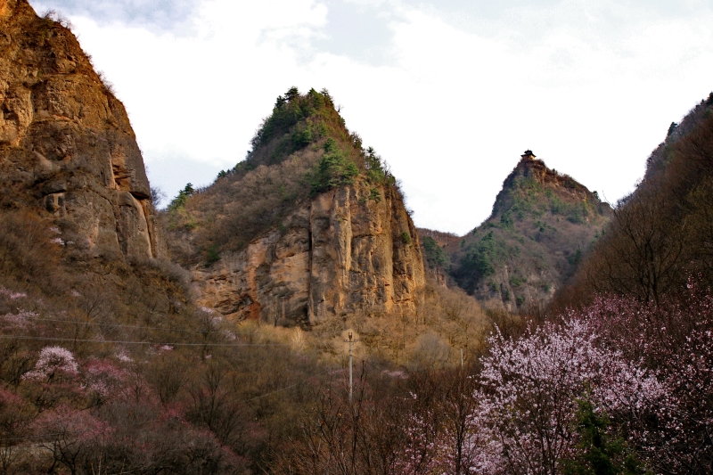 桃花坪(后山).jpg