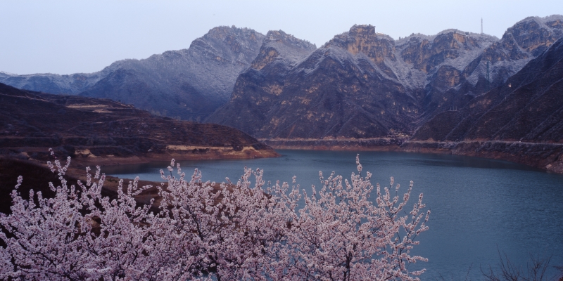 桃花映崆峒-张森林摄.jpg
