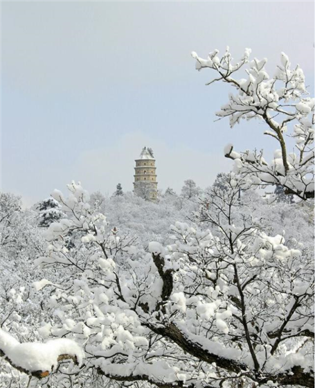 QQ截图20180103085636