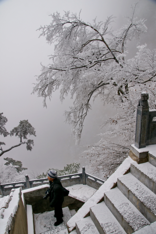 QQ截图20180103091305